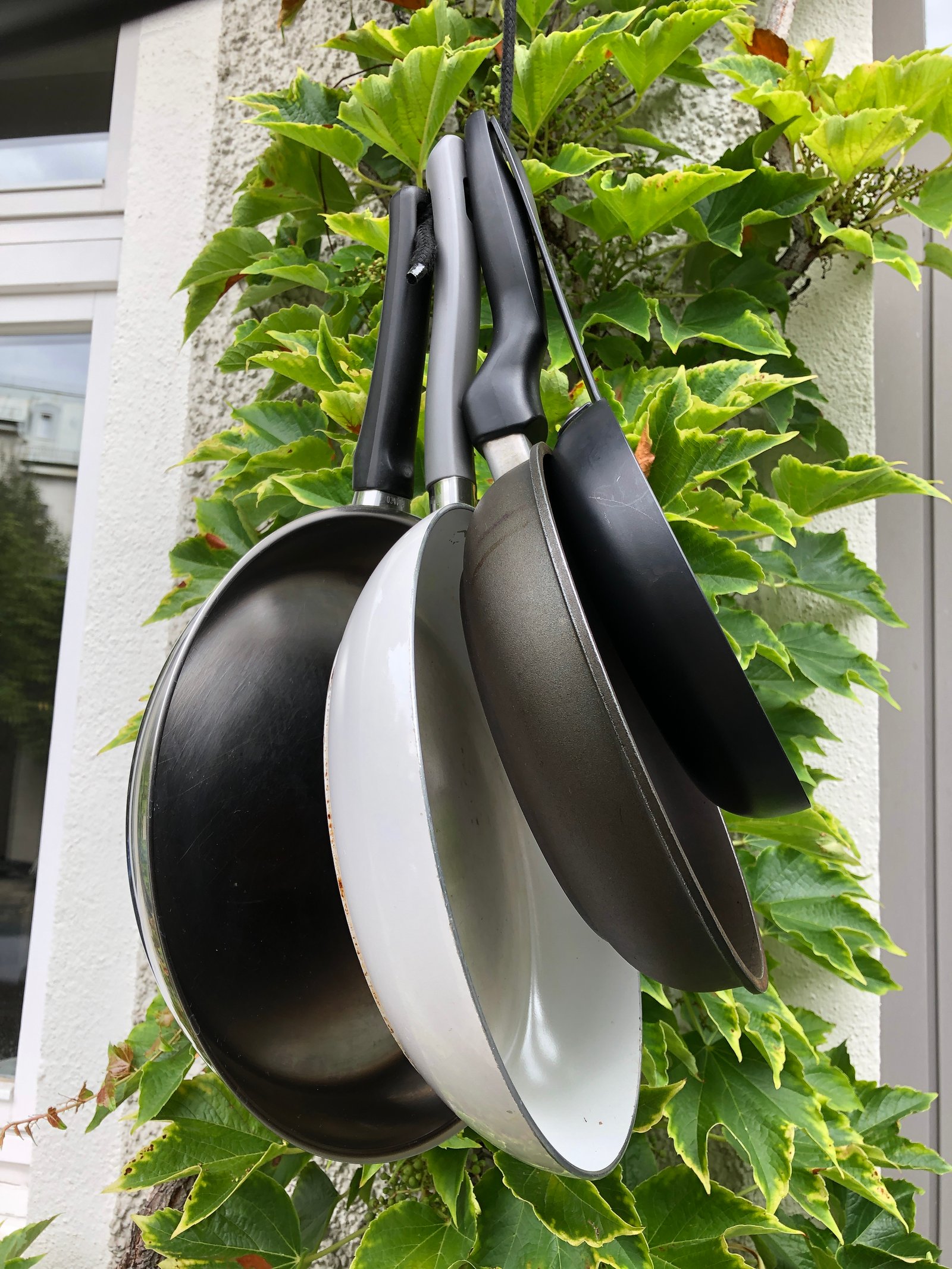 zum trocknen aufgehängt